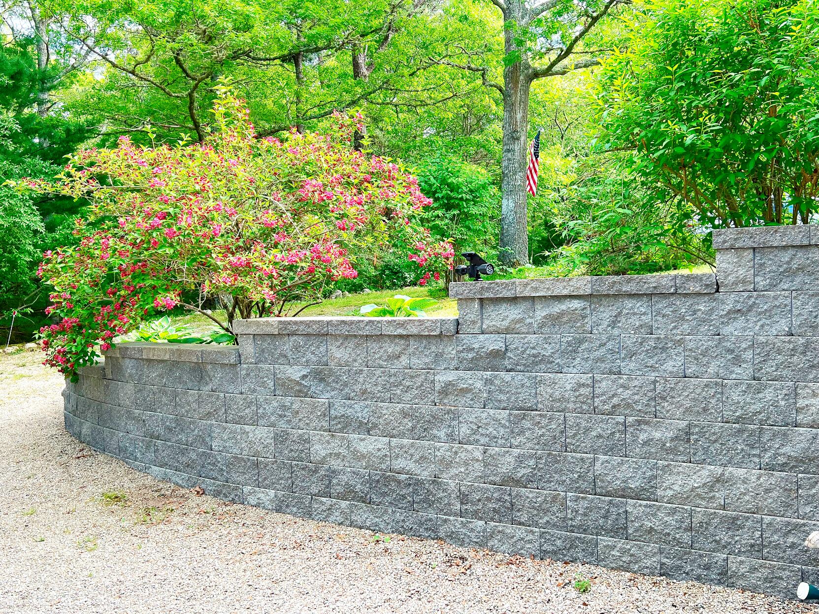 199 Timberlane Drive Brewster, MA 02631 - Photo 5 of 44 a view of a flower in a yard