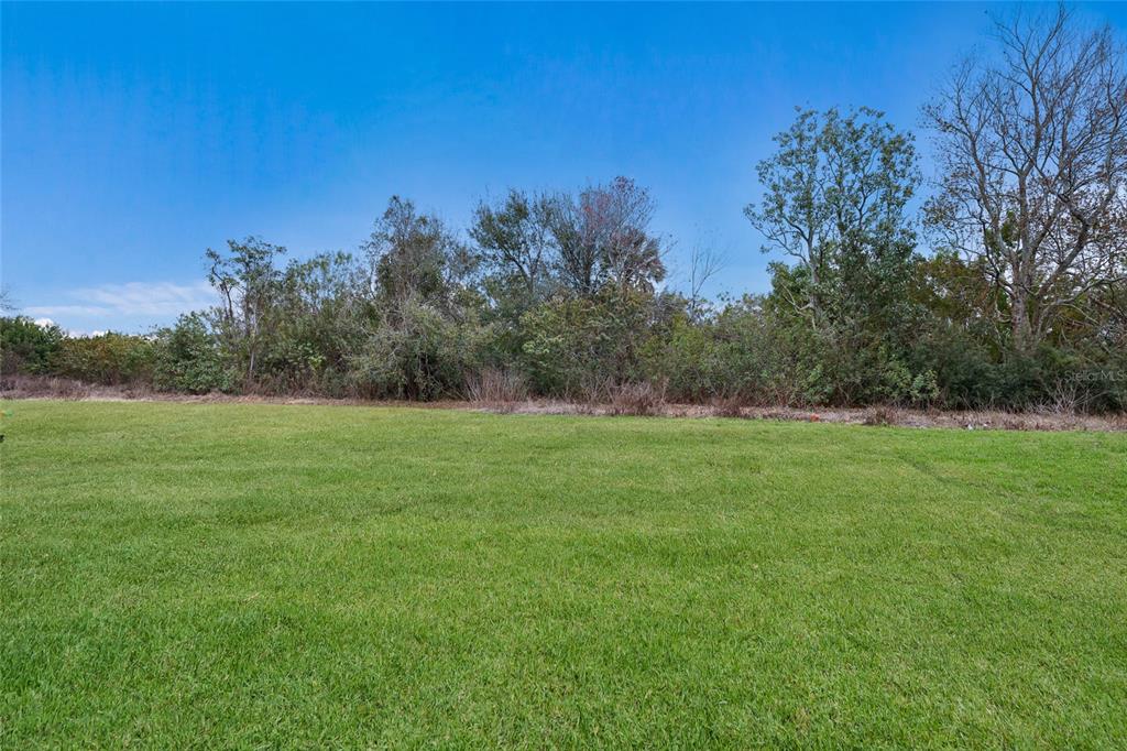 5552 Blue Azure Drive Wimauma, FL 33598 - Photo 28 of 63