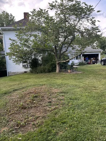 a view of a patio with table and chairs potted plants and large tree