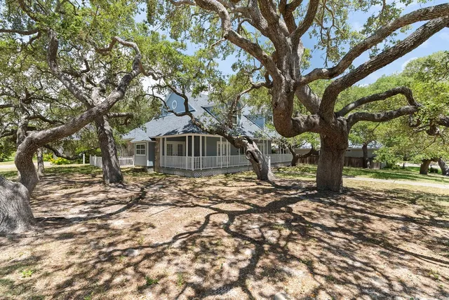a dirt road with large trees