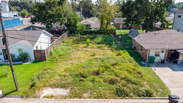 a view of a yard with plants and large trees
