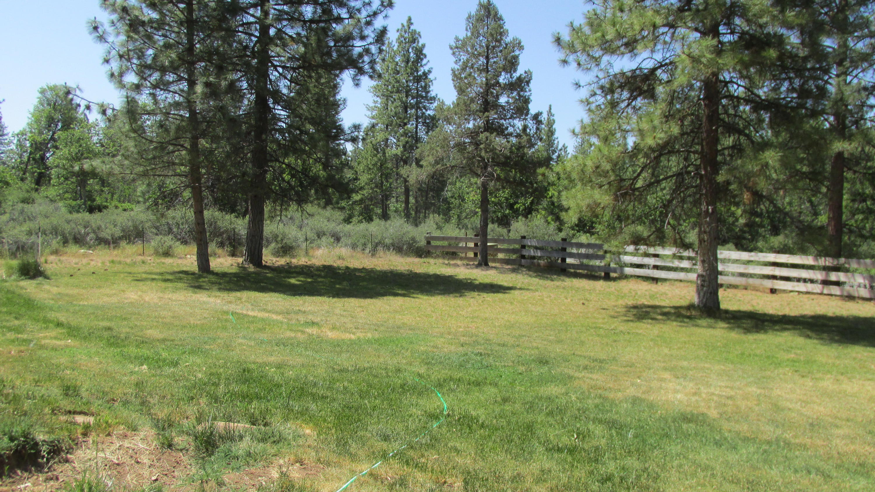 29405 Day Road McArthur, CA 96056 - Photo 35 of 45 a view of swimming pool with a yard