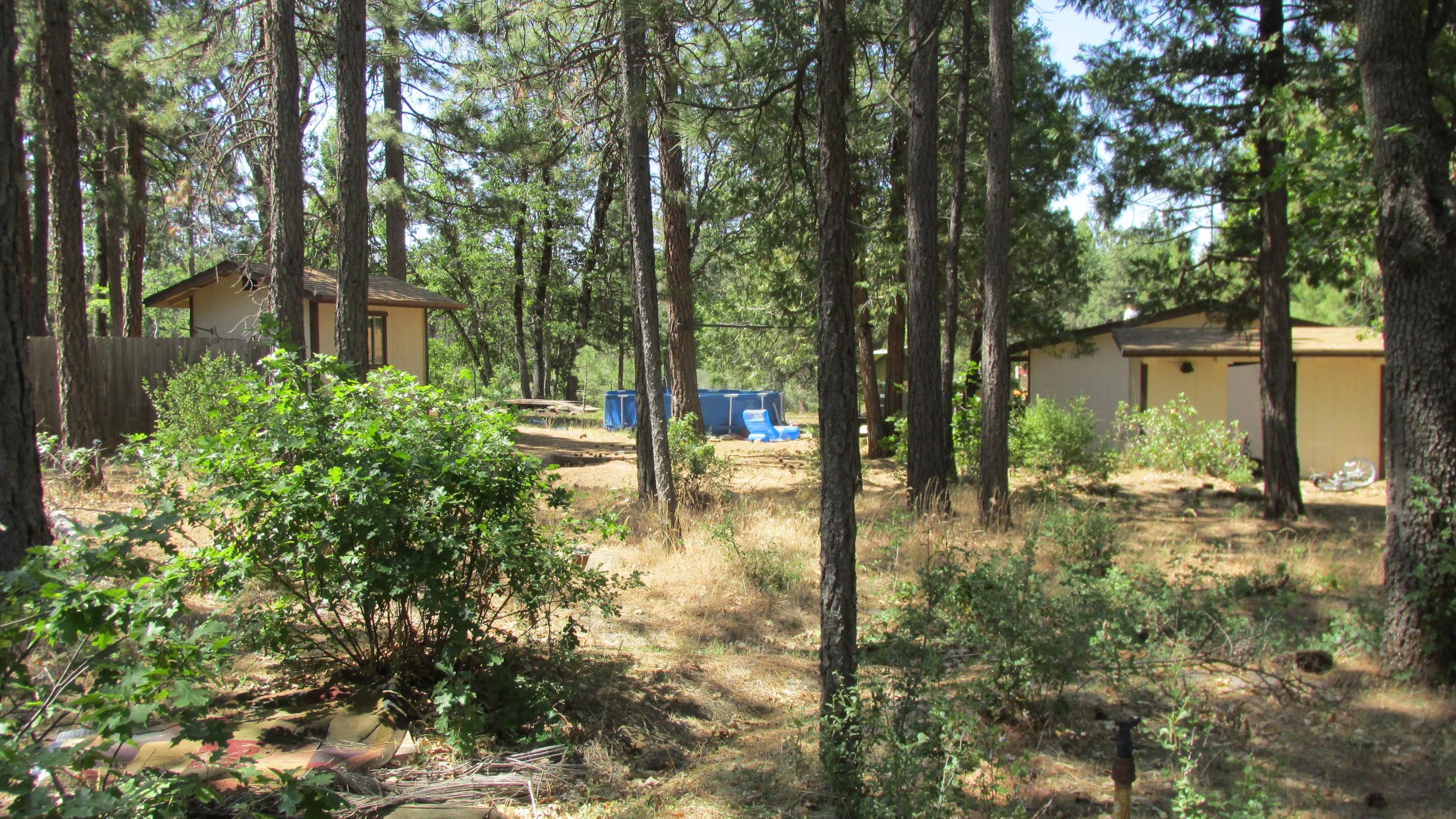 29405 Day Road McArthur, CA 96056 - Photo 40 of 45 a view of a yard with plants and large trees