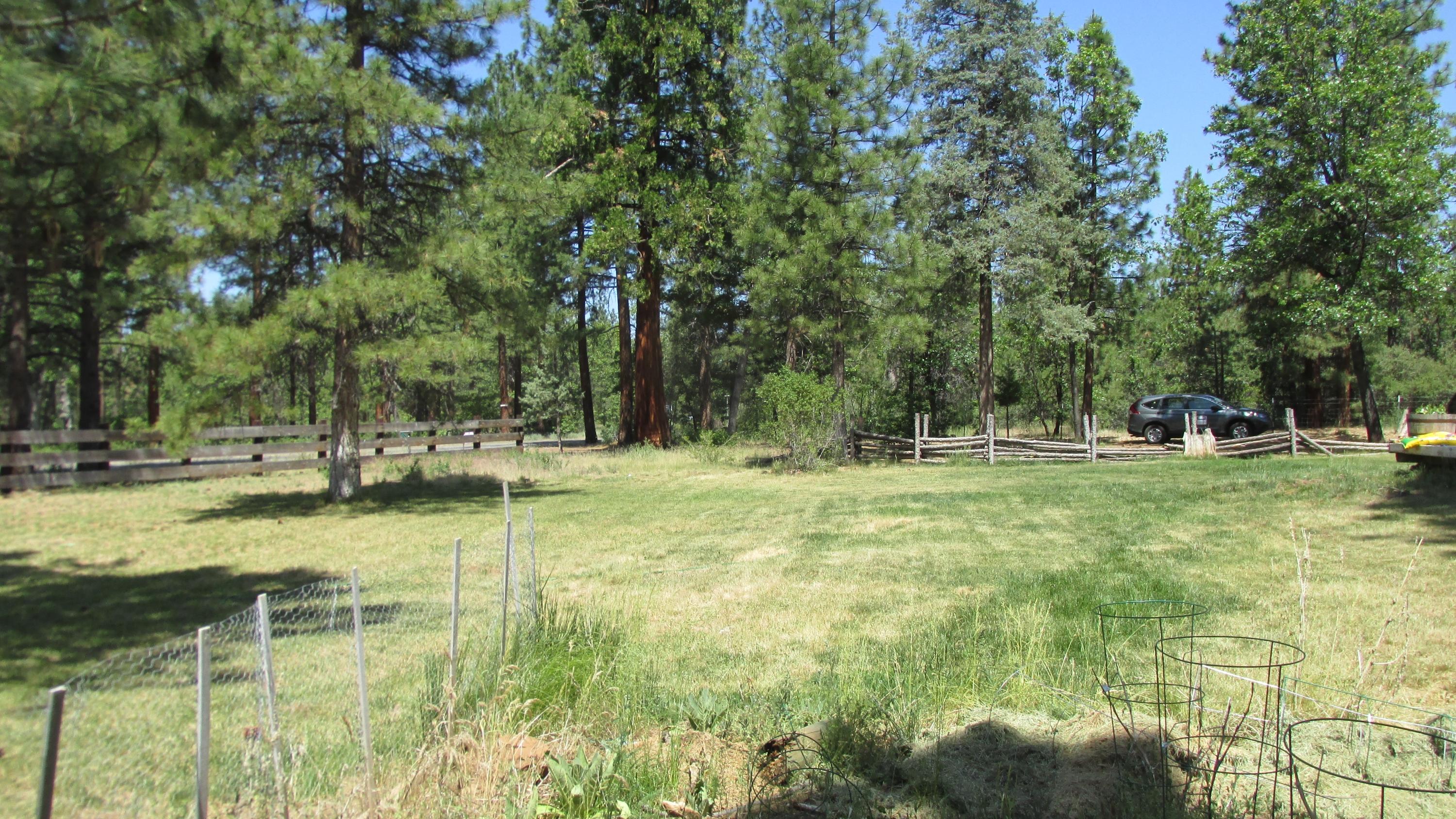29405 Day Road McArthur, CA 96056 - Photo 43 of 45 a view of yard with tree