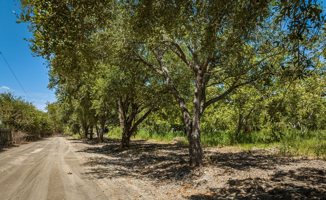 415 Crabb River Road Richmond, TX 77469 - Photo 17 of 22