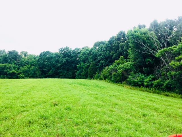 62.22-ac Weed-Keltner Road Columbia, KY 42728 - Photo 7 of 17 Gallery Image 7