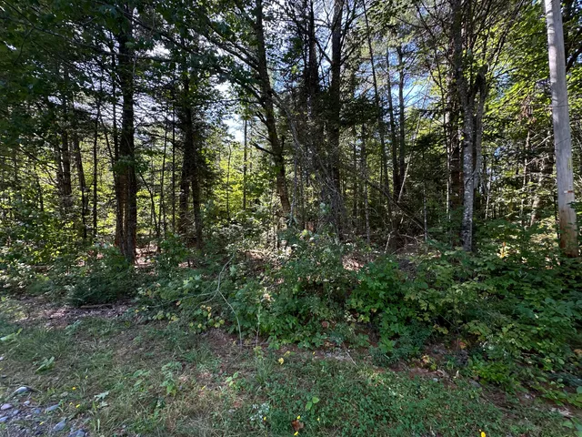 $29,900 | 0 Dunham Road, Milo, ME 04463