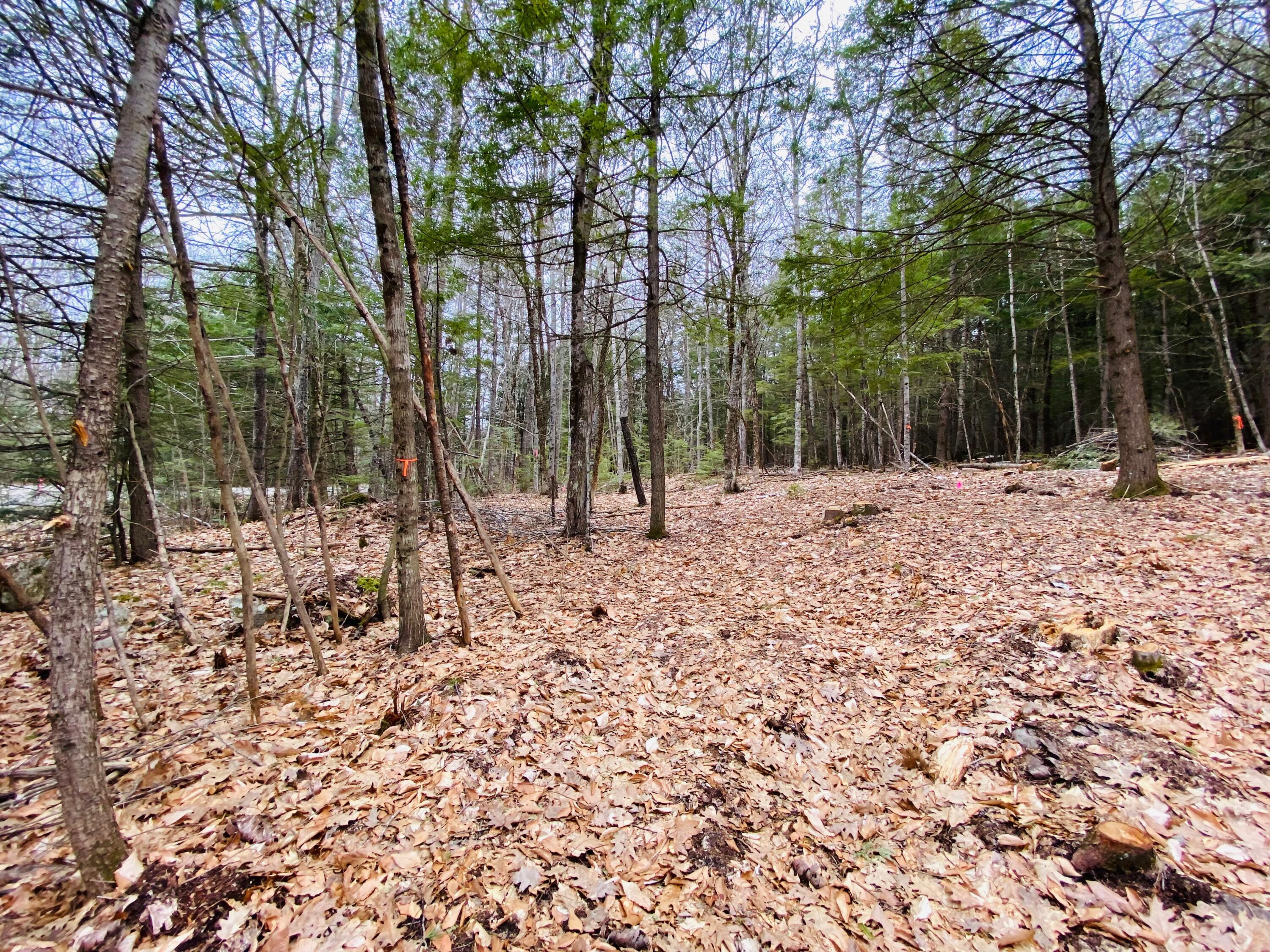 45 Shore Road Kents Hill, ME 04349 - Photo 6 of 47 BUILDING LOT