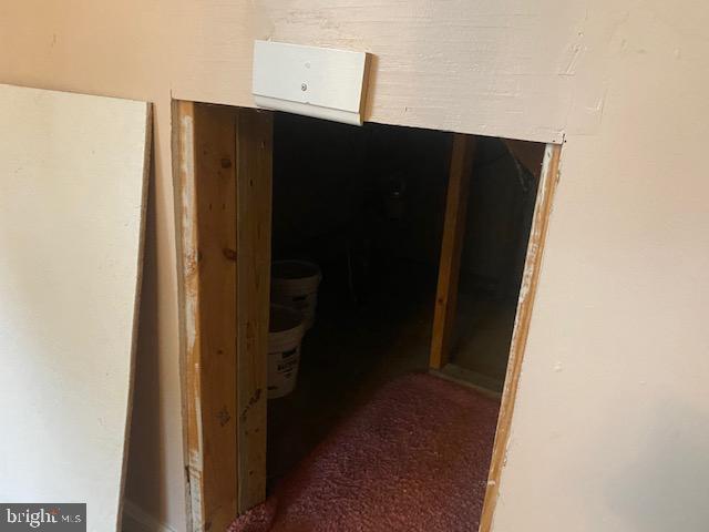1409 Silo Way Silver Spring, MD 20905 - Photo 16 of 43 Basement Storage Space Under Stairs