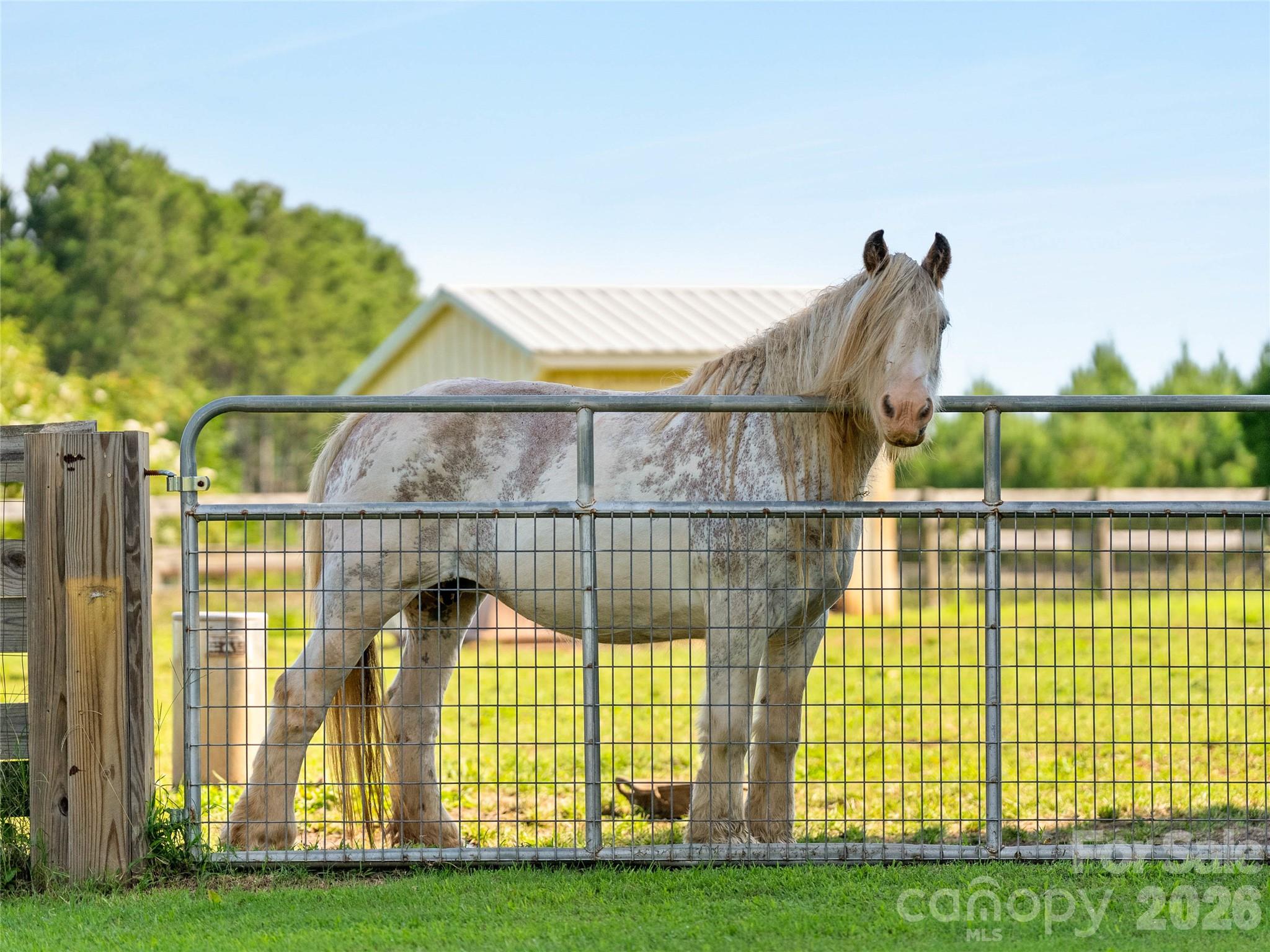 150 Rabbit Moffitt Road Rutherfordton, NC 28139 - Photo 39 of 48