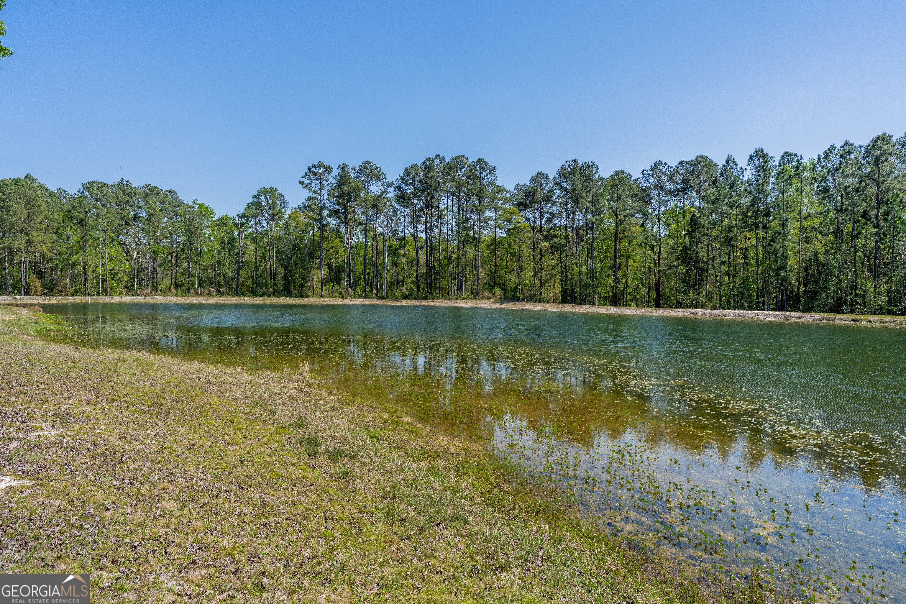 3642 Tanner Lane Waycross, GA 31503 - Photo 13 of 36 a view of a lake with a yard and trees in the background