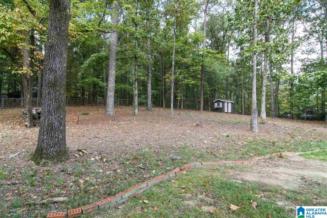 5412 Caldwell Mill Road Birmingham, AL 35242 - Photo 35 of 36