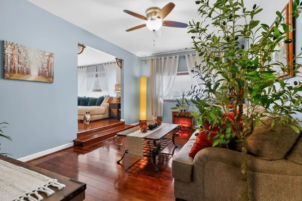 a room with furniture and a potted plant