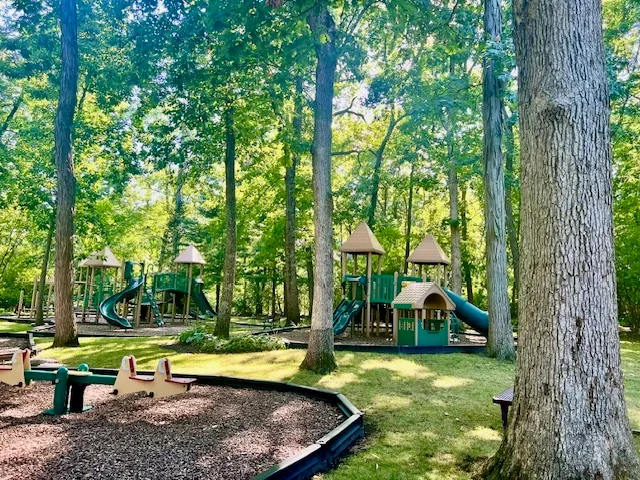 a view of a park with large trees