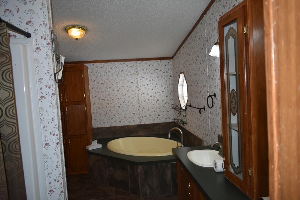 89 Dog Branch Road Pleasant Shade, TN 37145 - Photo 6 of 11 a bathroom with a sink and a mirror