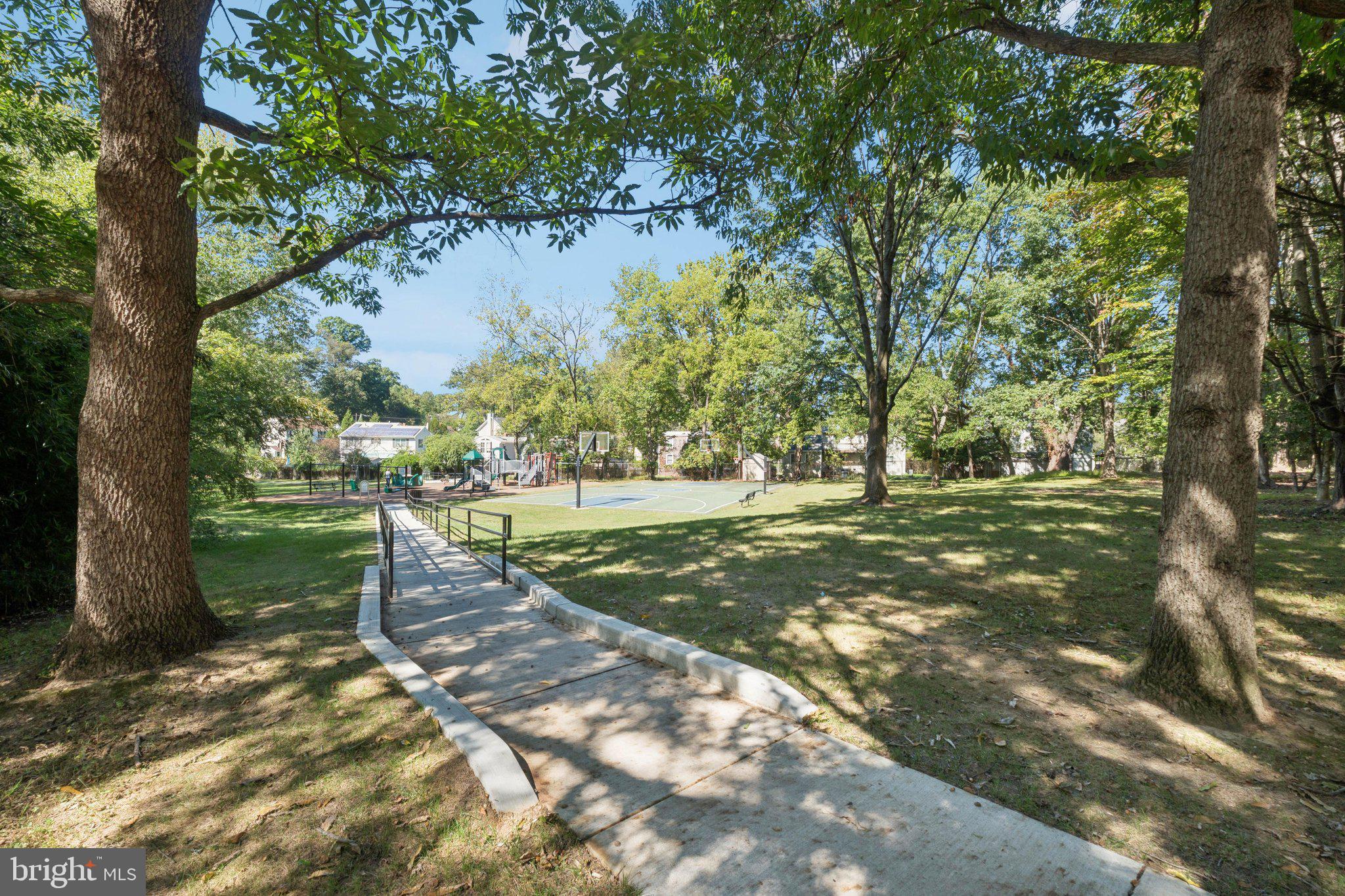 503 Autumn Wind Way Rockville, MD 20850 - Photo 68 of 83 a view of a tree in a yard
