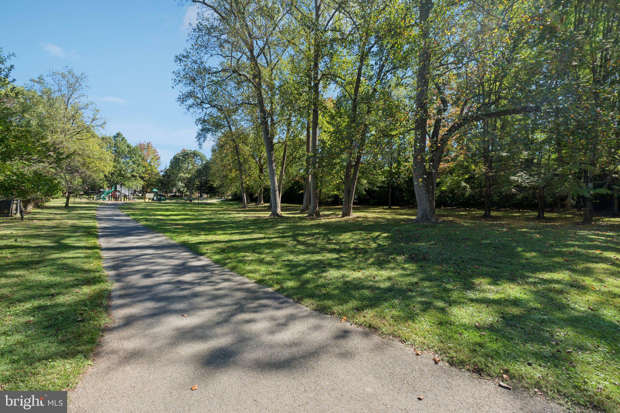 503 Autumn Wind Way Rockville, MD 20850 - Photo 71 of 83 a big yard with trees