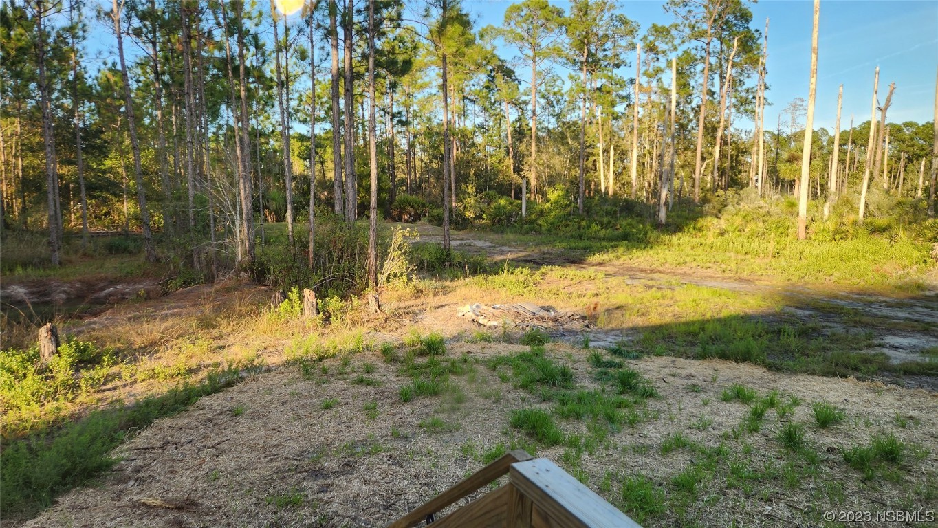 6262 Cherry Lane Bunnell, FL 32110 - Photo 25 of 41