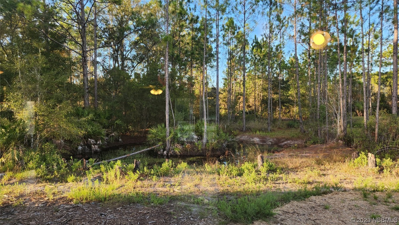 6262 Cherry Lane Bunnell, FL 32110 - Photo 26 of 41