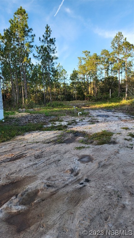 6262 Cherry Lane Bunnell, FL 32110 - Photo 41 of 41 a view of yard with swimming pool and green space