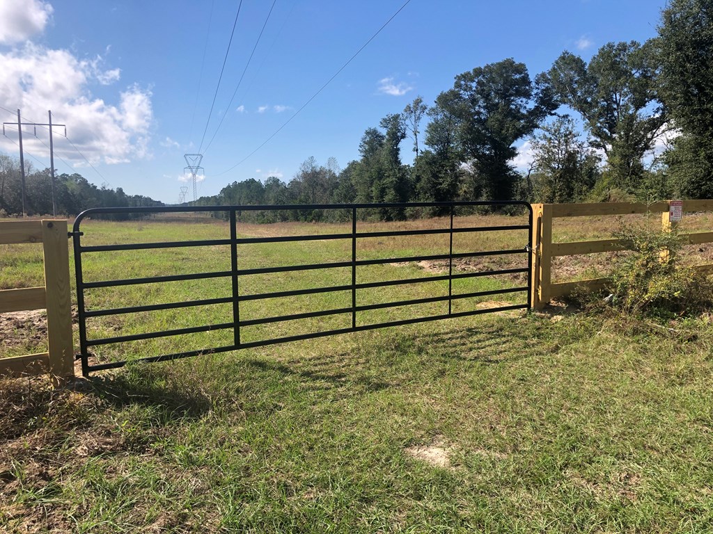 Undisclosed Address Samson, AL 36477 - Photo 14 of 39