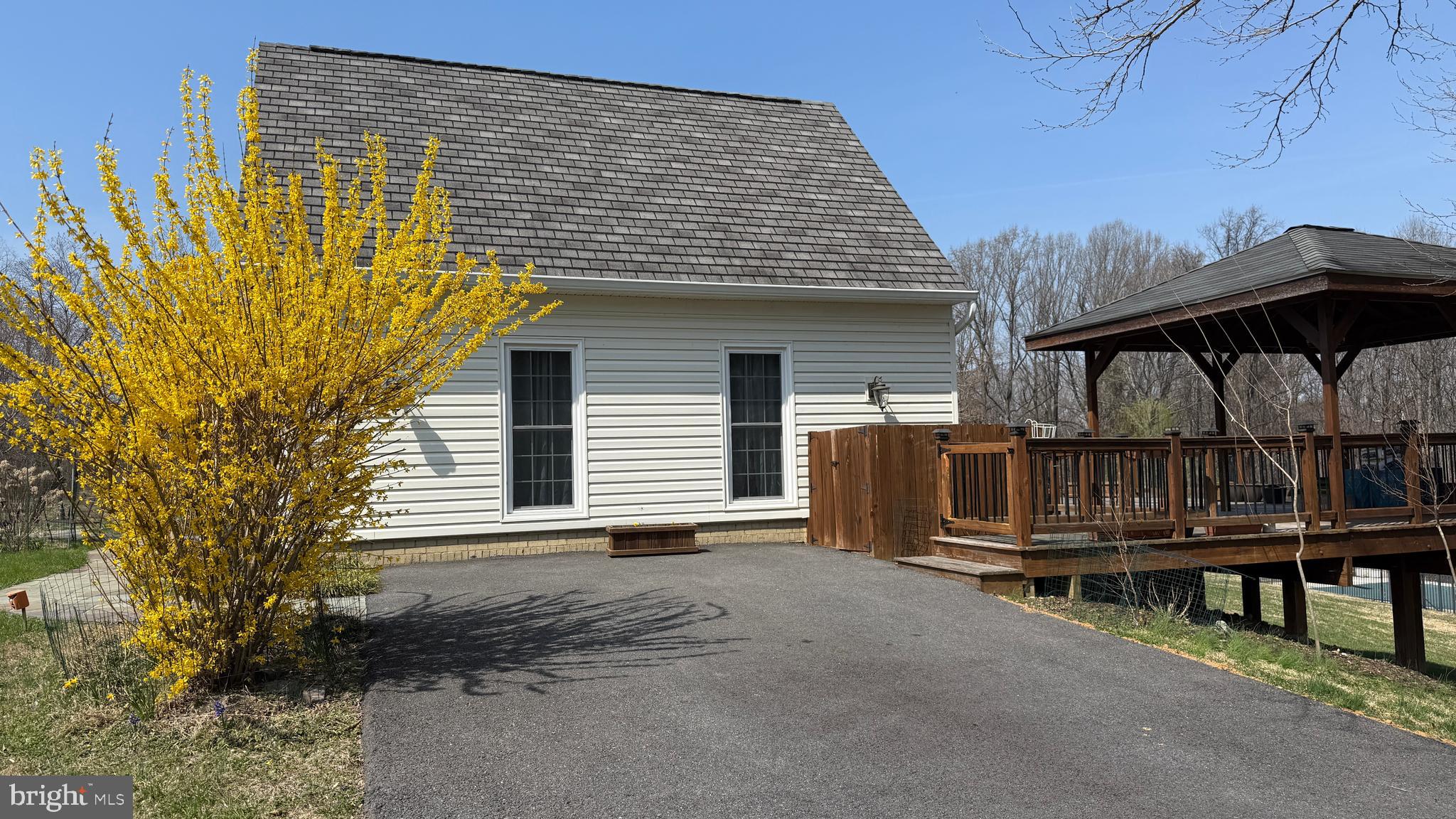 12929 Esworthy Road North Potomac, MD 20878 - Photo 39 of 42 Blooming Forsythia