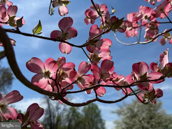 $8,900 | 12929 Esworthy Road, North Potomac, MD 20878