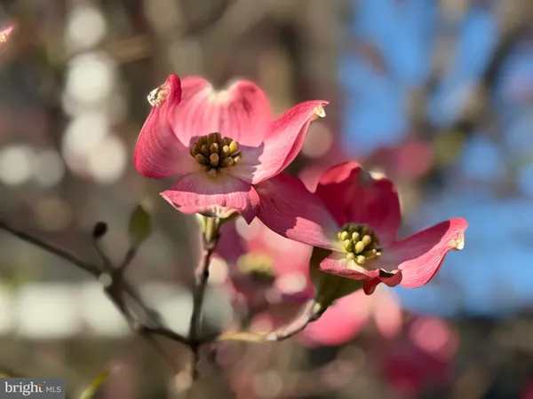 $8,900 | 12929 Esworthy Road, North Potomac, MD 20878