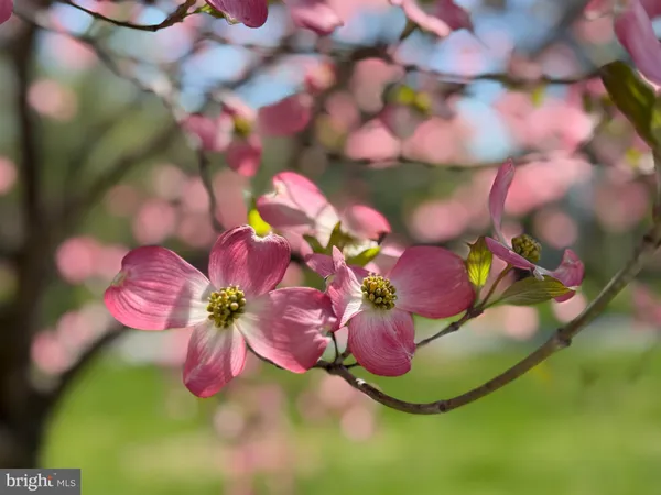 $8,900 | 12929 Esworthy Road, North Potomac, MD 20878