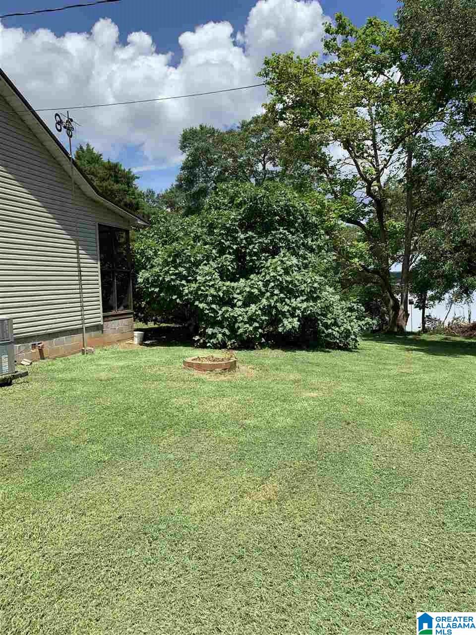 375 Fish Trap Road Cropwell, AL 35054 - Photo 3 of 27 Gallery Image 3