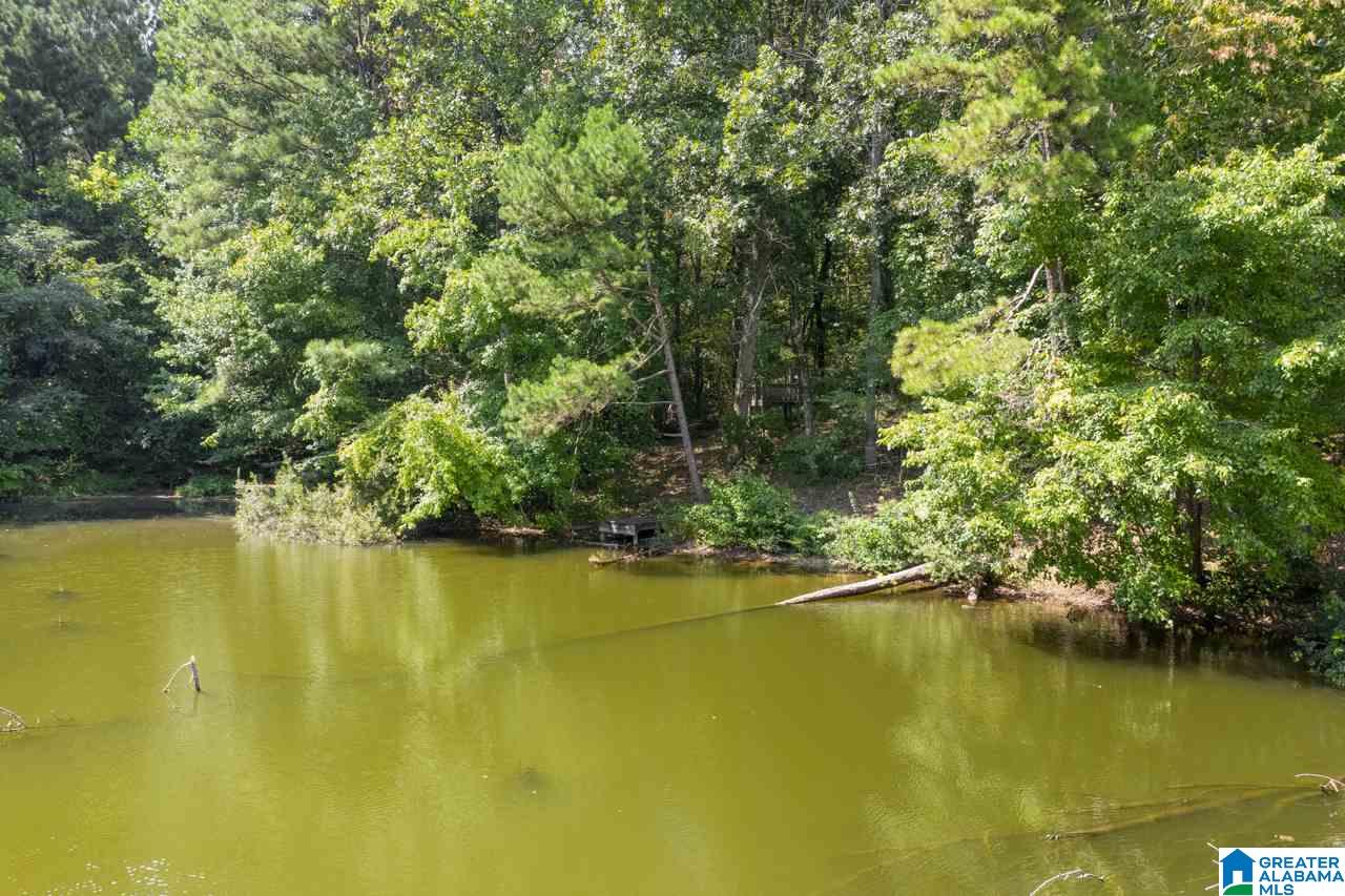 156 Twin Lakes Road Trussville, AL 35173 - Photo 9 of 42