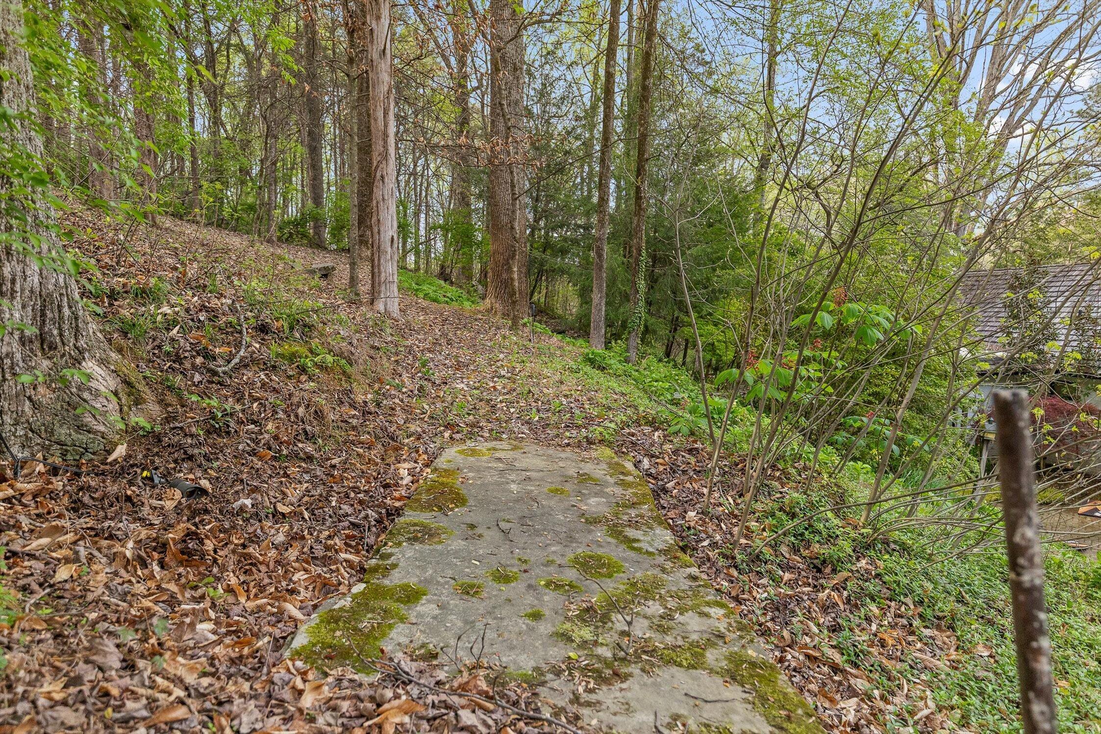 590 Springhill Drive Northeast Cleveland, TN 37312 - Photo 55 of 74 012-Springhill-11