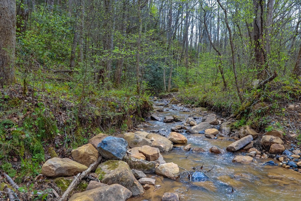 1975 Yellow Springs Road Cosby, TN 37722 - Photo 6 of 34 Gallery Image 6