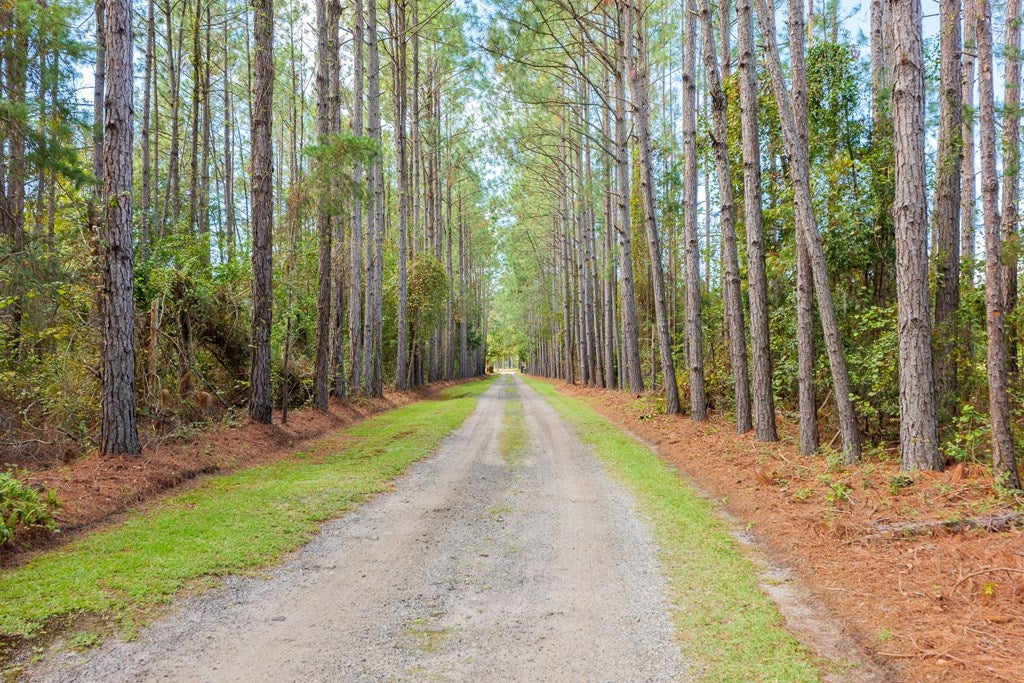 6310 Peters Road Ray City, GA 31645 - Photo 3 of 69 Gallery Image 3