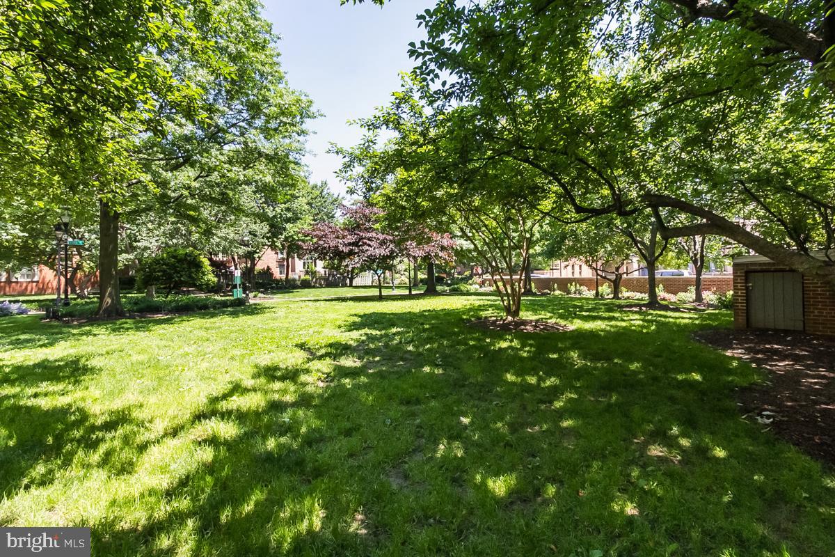 115 West Lee Street Baltimore, MD 21201 - Photo 20 of 71 Concert Park