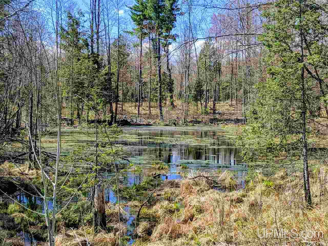 20-acres Ottawa Lake Road Iron River, MI 49935 - Photo 4 of 11