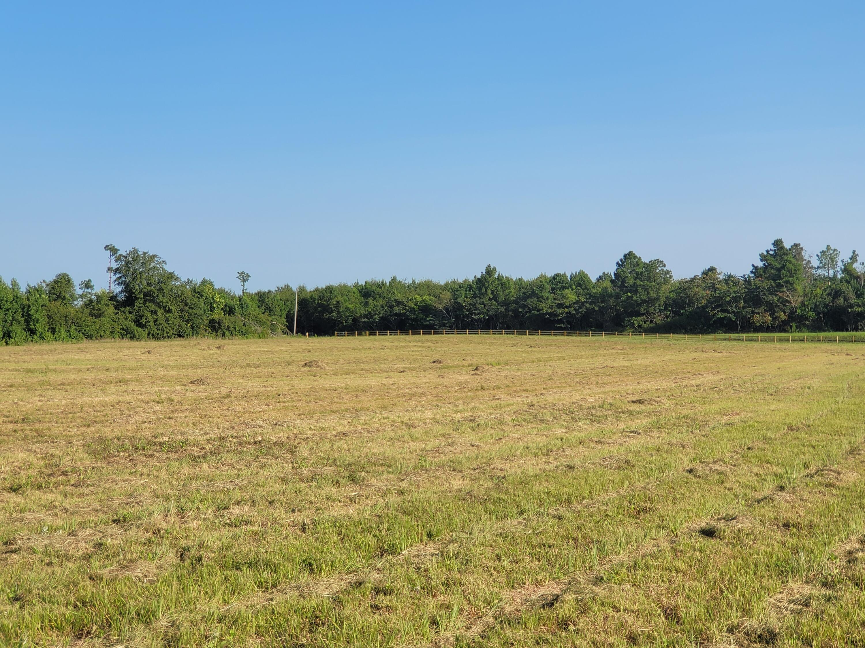 0 Tinker Creek Road Williston, SC 29853 - Photo 4 of 20
