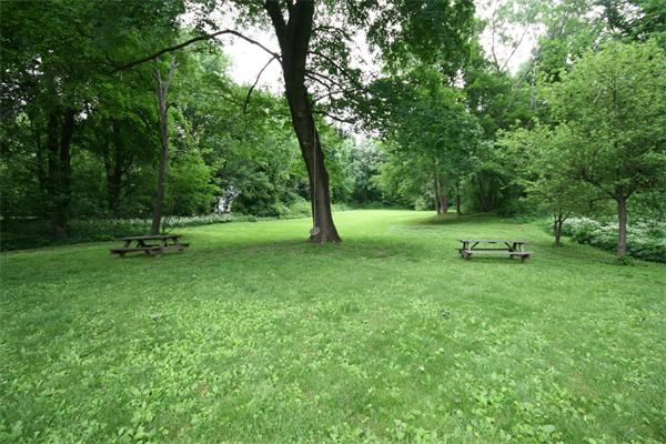 52 Salem Street Andover, MA 01810 - Photo 2 of 21 a ground with lots of trees and plants