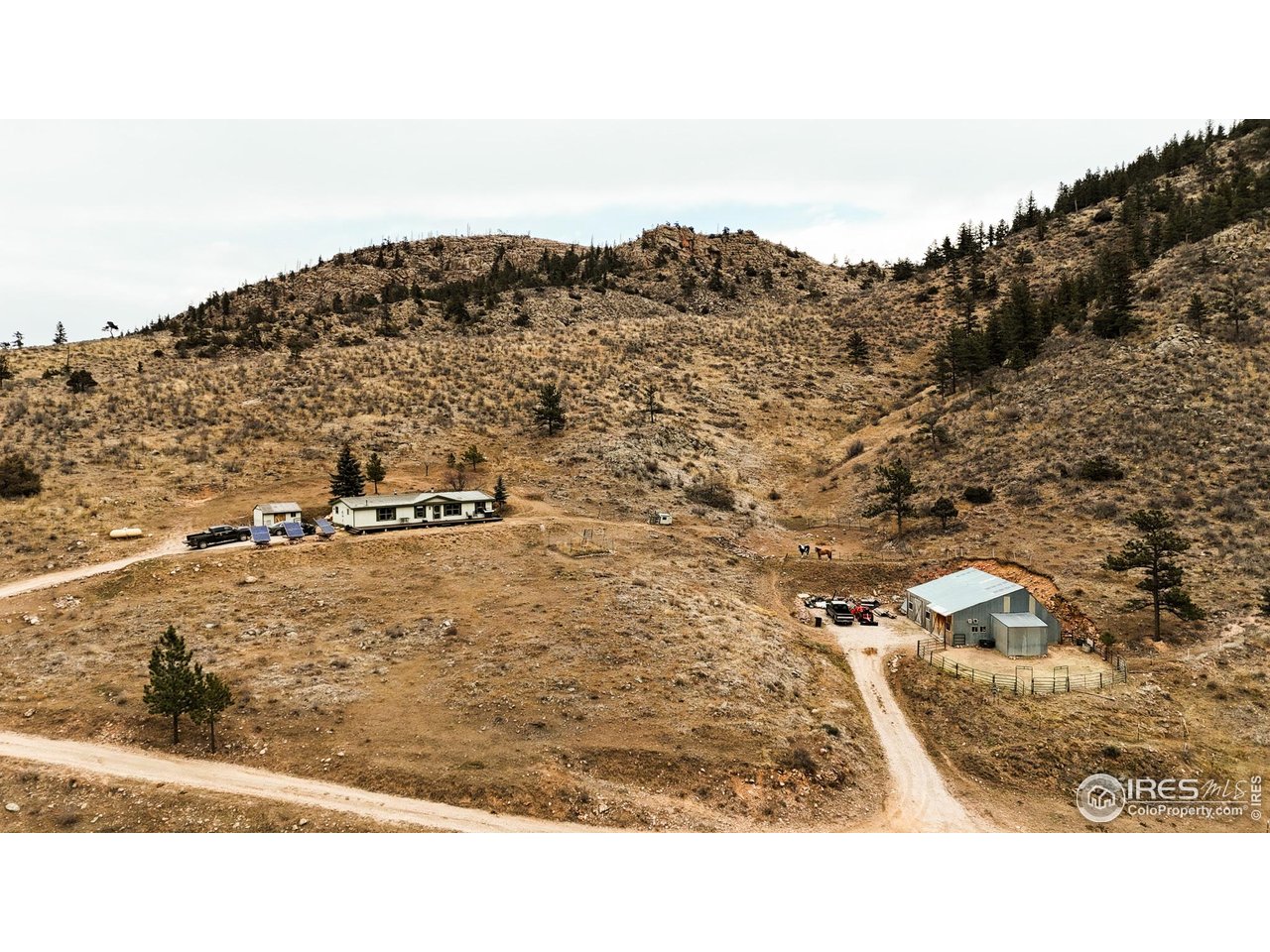 846 Boxer Ranch Road Livermore, CO 80536 - Photo 18 of 46