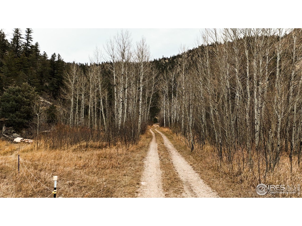 846 Boxer Ranch Road Livermore, CO 80536 - Photo 25 of 46