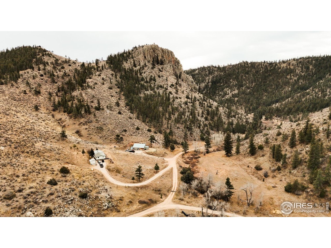 846 Boxer Ranch Road Livermore, CO 80536 - Photo 26 of 46