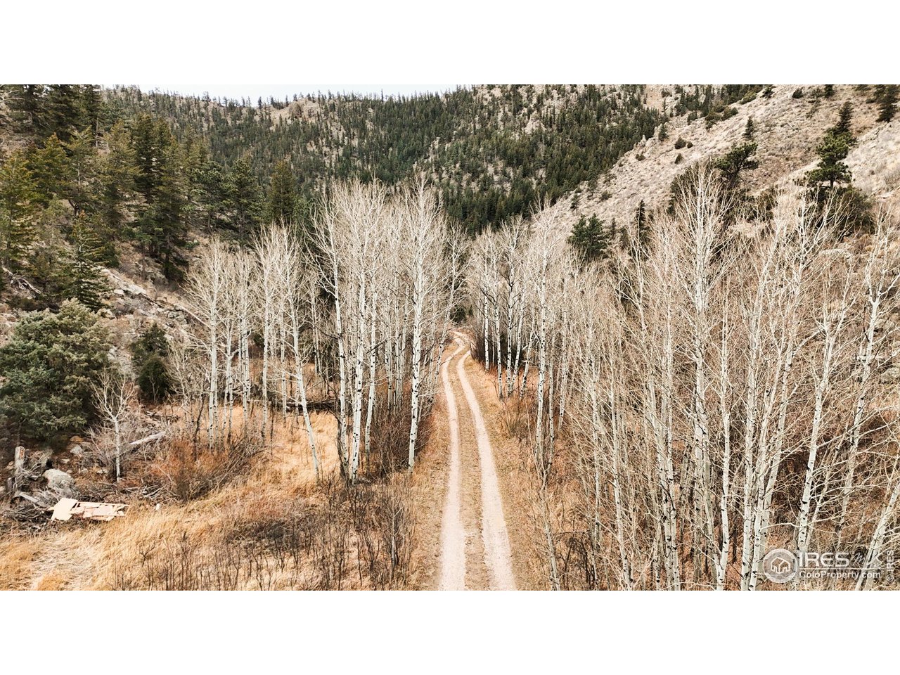 846 Boxer Ranch Road Livermore, CO 80536 - Photo 27 of 46