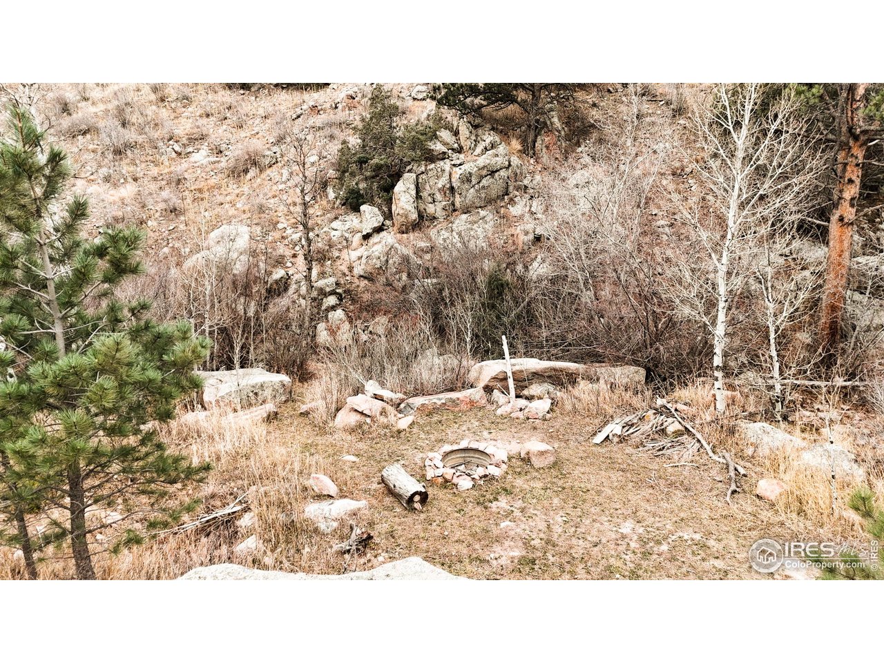 846 Boxer Ranch Road Livermore, CO 80536 - Photo 29 of 46