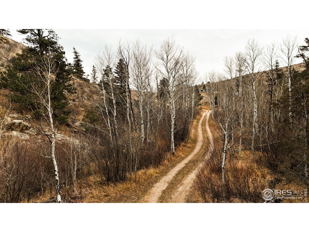 846 Boxer Ranch Road Livermore, CO 80536 - Photo 30 of 46