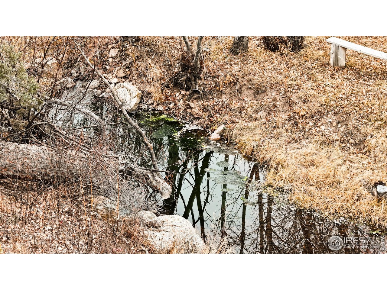 846 Boxer Ranch Road Livermore, CO 80536 - Photo 32 of 46