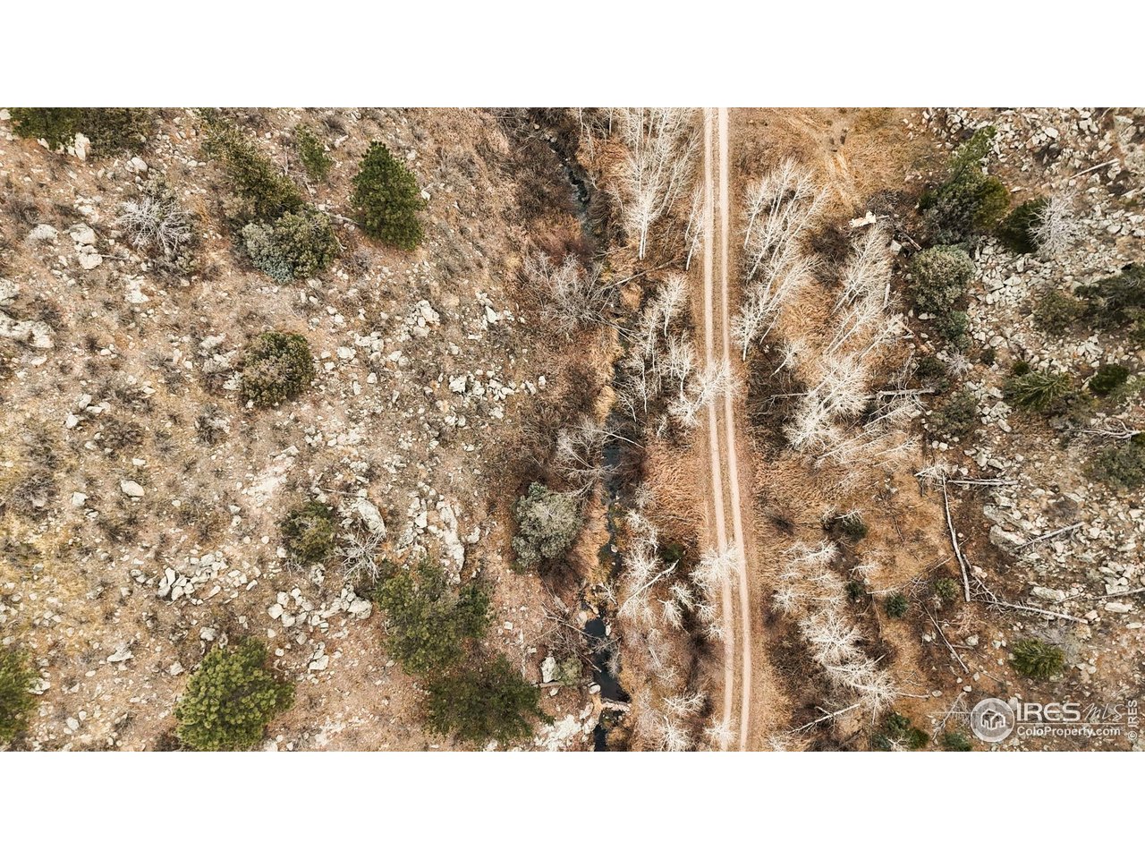 846 Boxer Ranch Road Livermore, CO 80536 - Photo 33 of 46