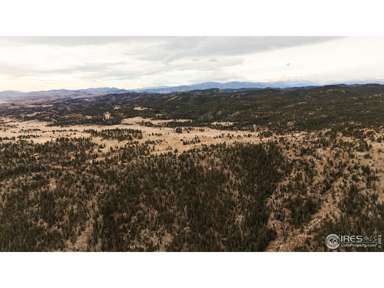 846 Boxer Ranch Road Livermore, CO 80536 - Photo 35 of 46