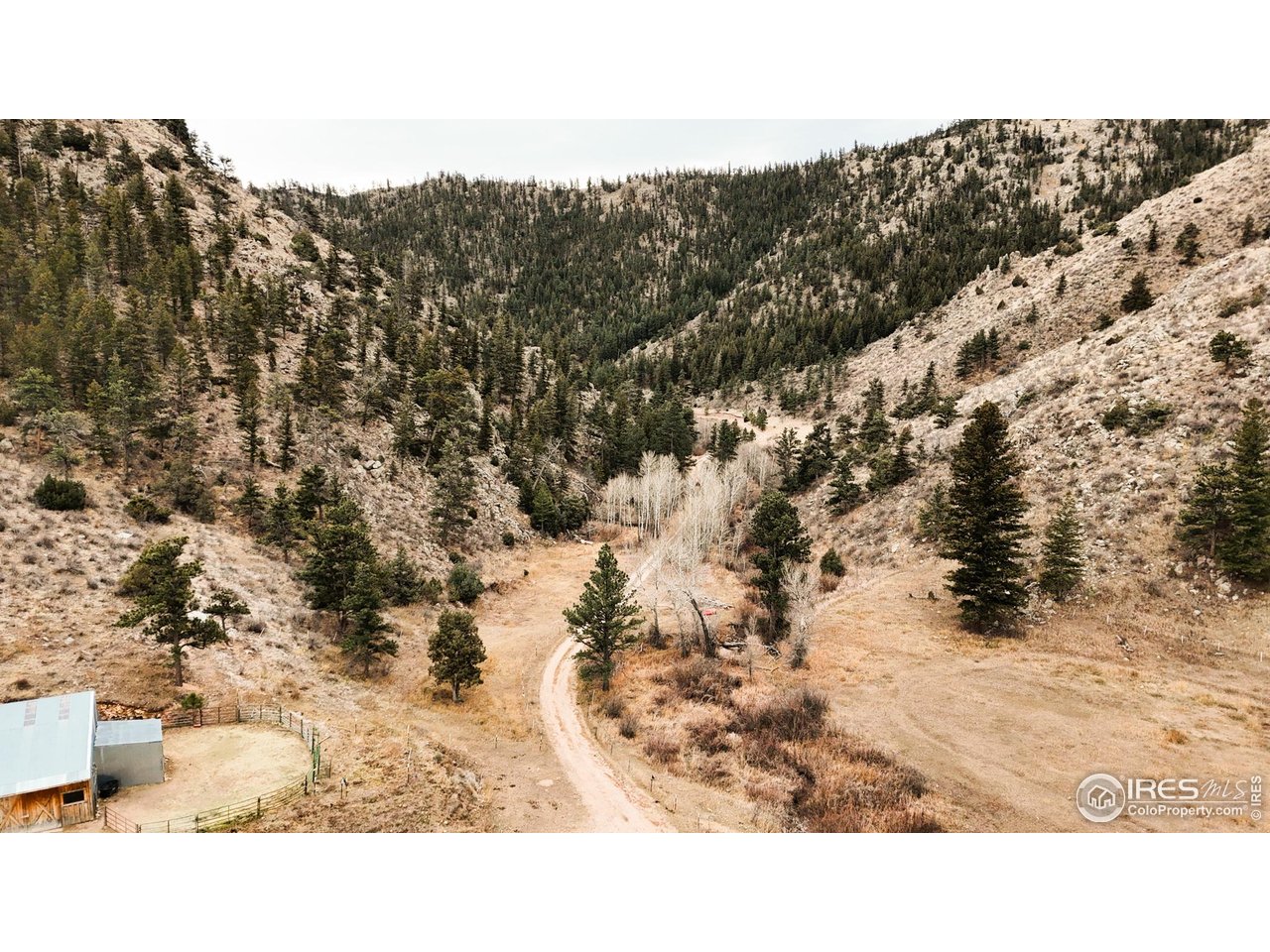 846 Boxer Ranch Road Livermore, CO 80536 - Photo 40 of 46