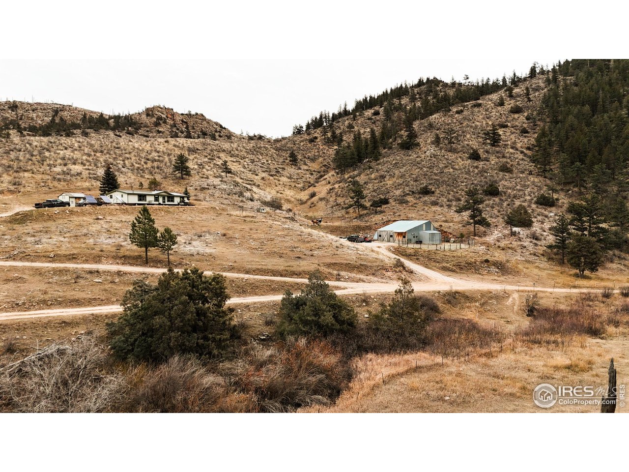 846 Boxer Ranch Road Livermore, CO 80536 - Photo 41 of 46