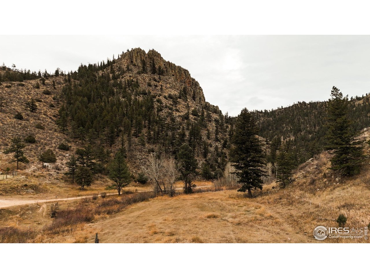 846 Boxer Ranch Road Livermore, CO 80536 - Photo 42 of 46